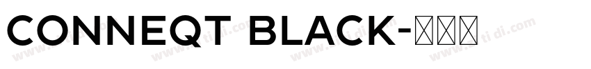 conneqt Black字体转换